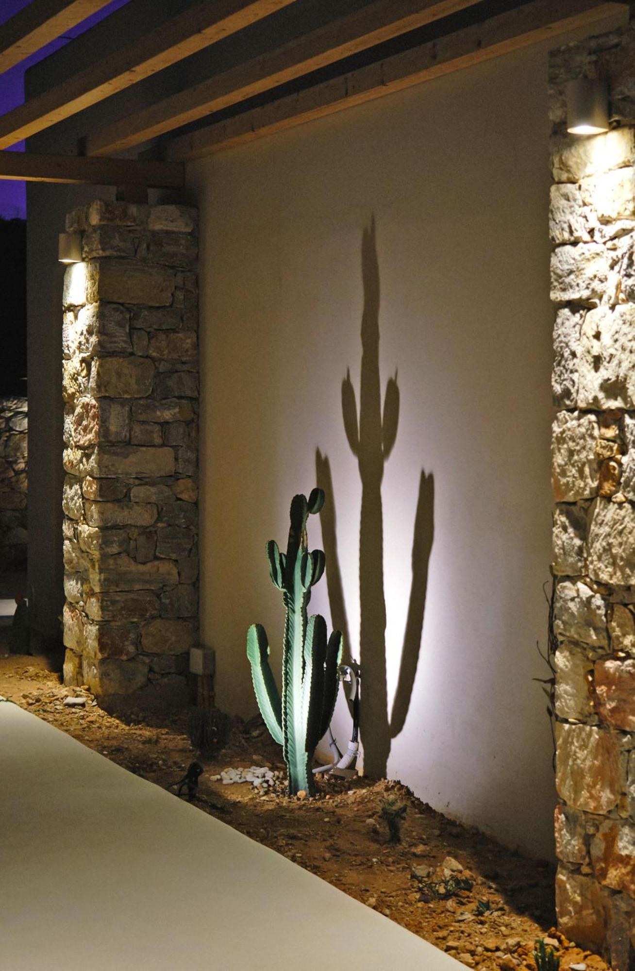 Agave Donousa Suites Εξωτερικό φωτογραφία