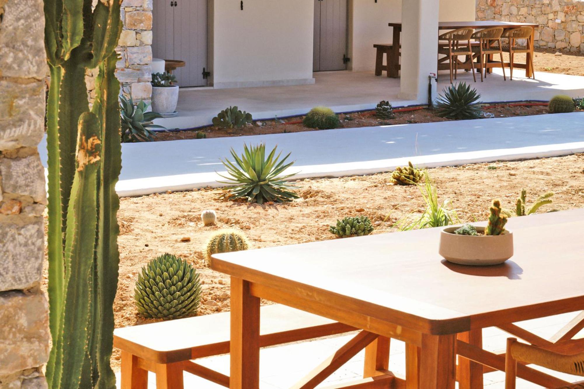 Agave Donousa Suites Εξωτερικό φωτογραφία